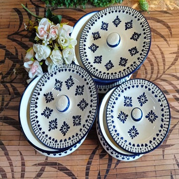 blue berry design caseroll set 3