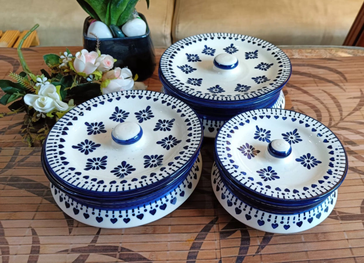 blue berry design caseroll set 3