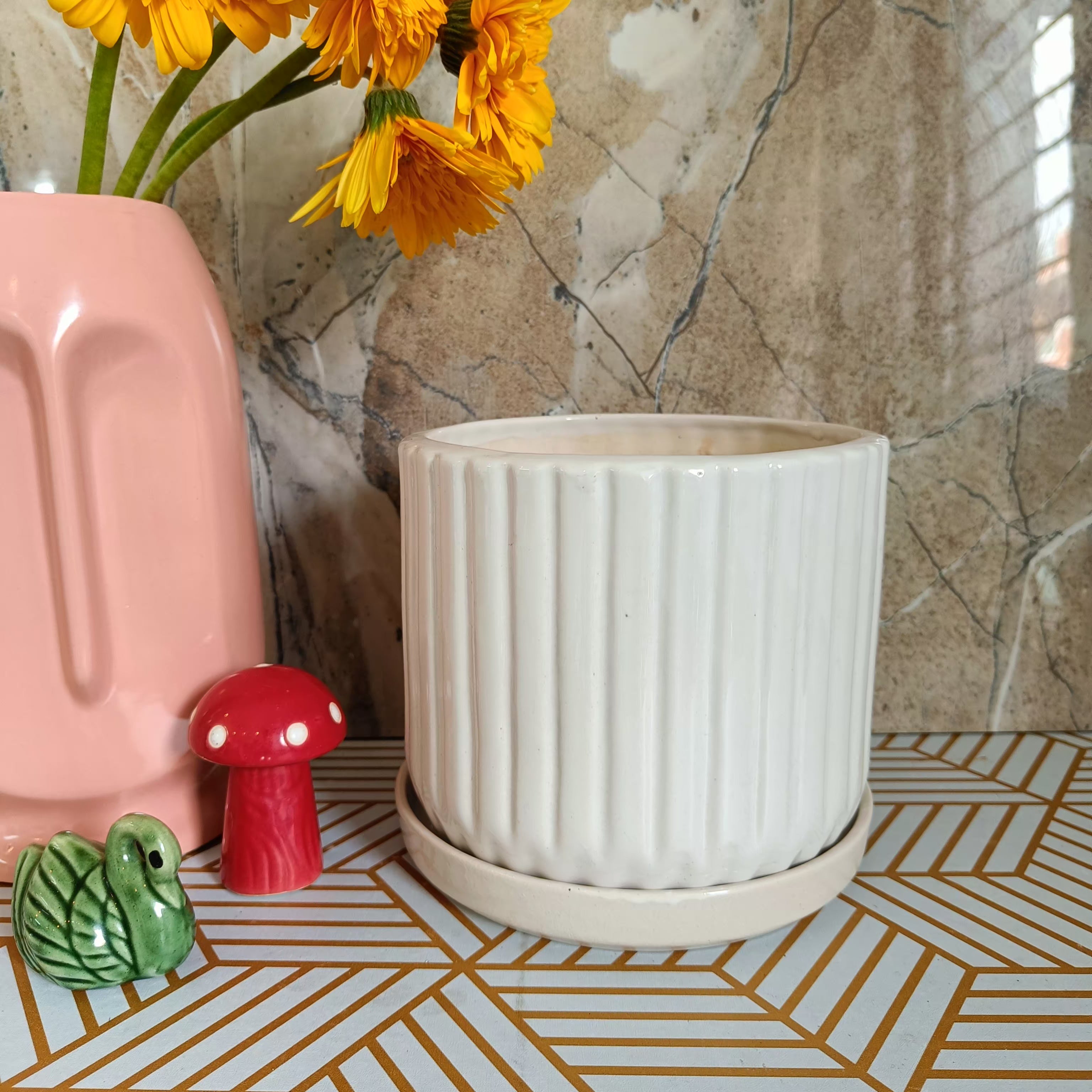 White Stripped Pot 6 inch with Tray