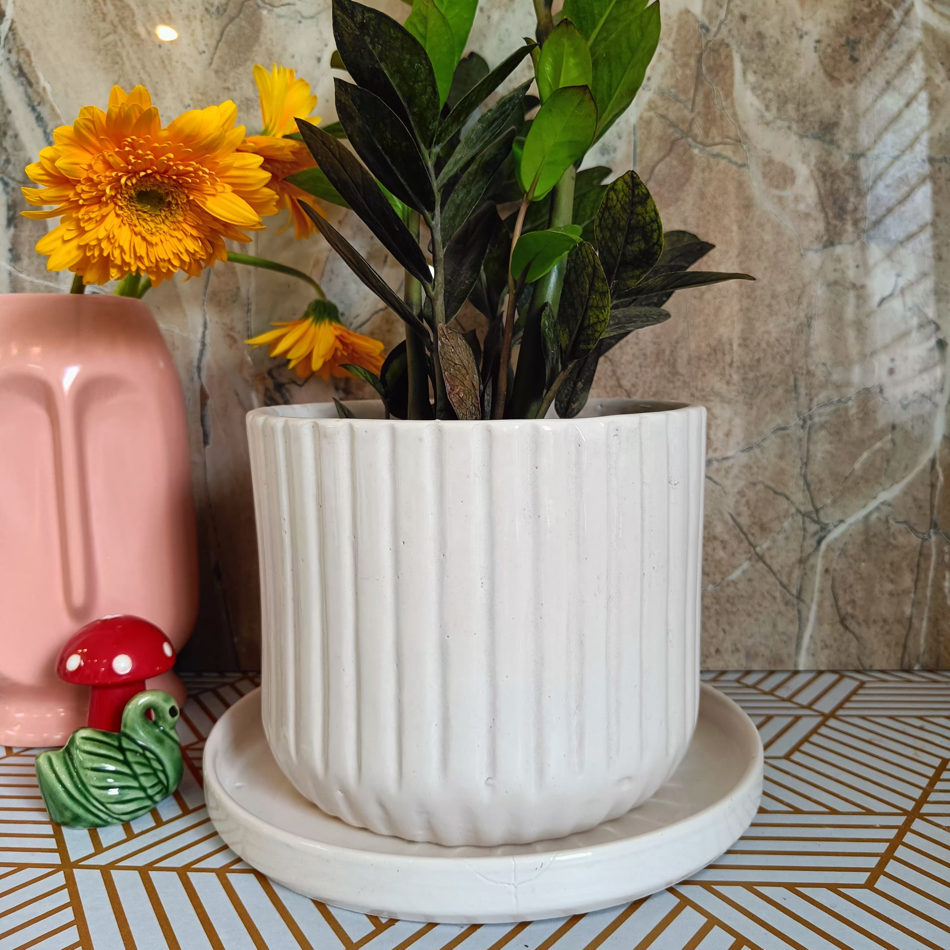 White Stripped pot 8 with Tray