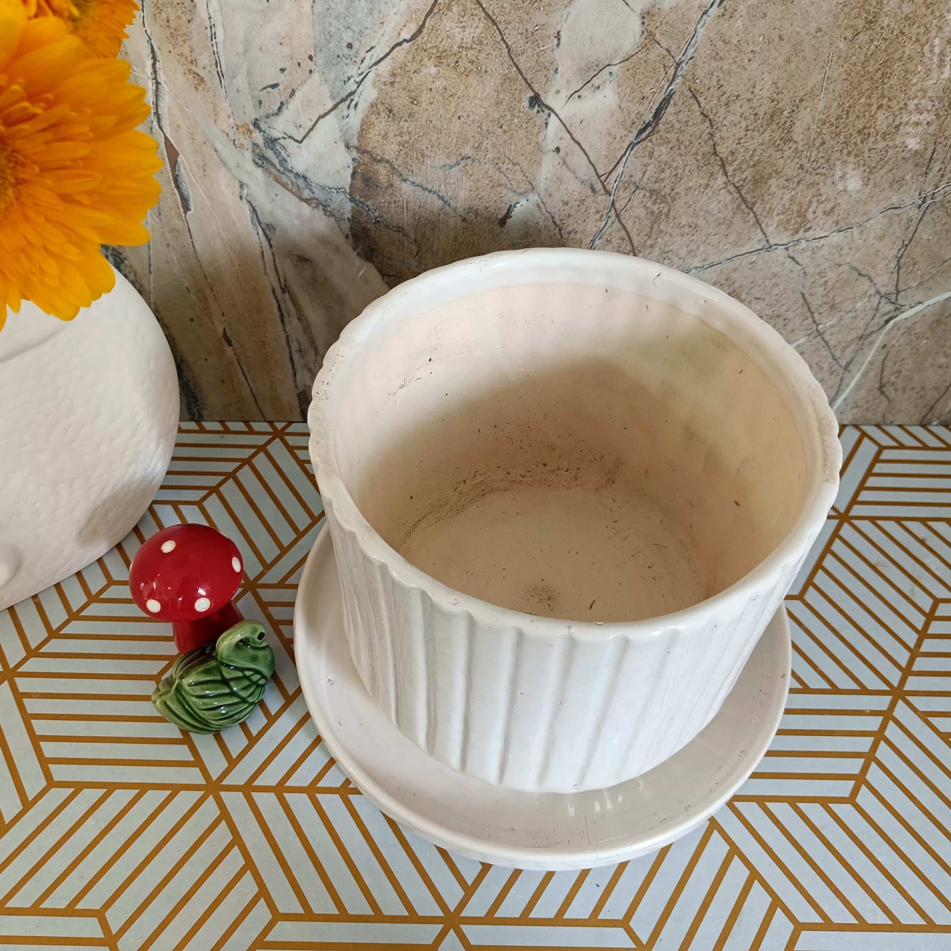White Stripped pot 8 with Tray