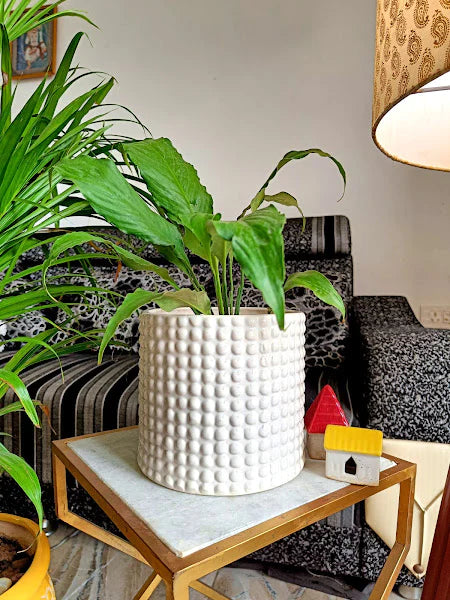 White Doted Style Planter Pots Size -10 inch
