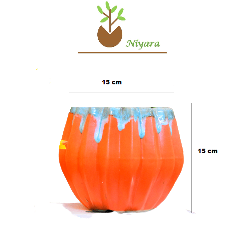 lining Style Pots Planters size-6 inch