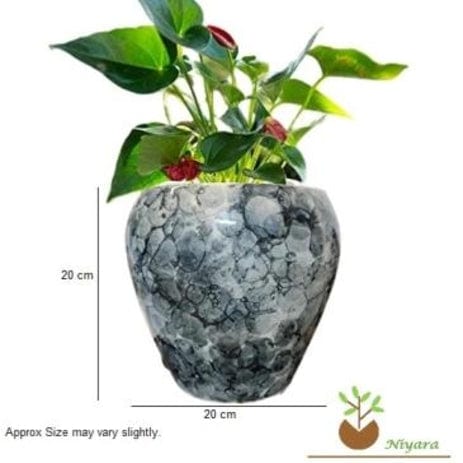 Glossy Stylish Planters Pot Color-Grey