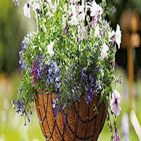 Hanging coco coir Planter Basket, Set of 2