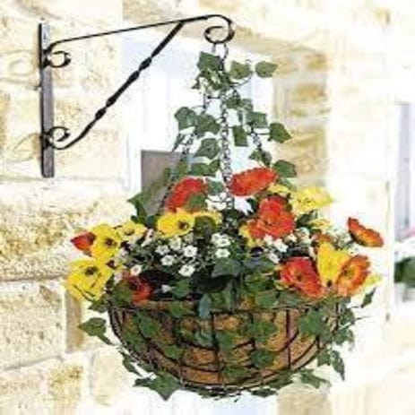 Hanging Planter Basket with Coco Coir Set of 6 (11 inch)
