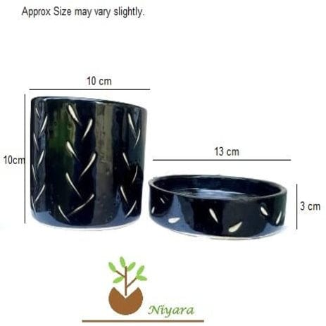 Black Bowl with Tray Planters Pots set of 2