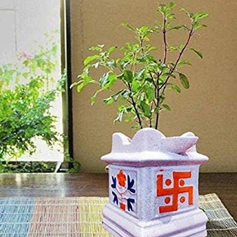Tulsi Planters Pot Size 9 inch Color-White