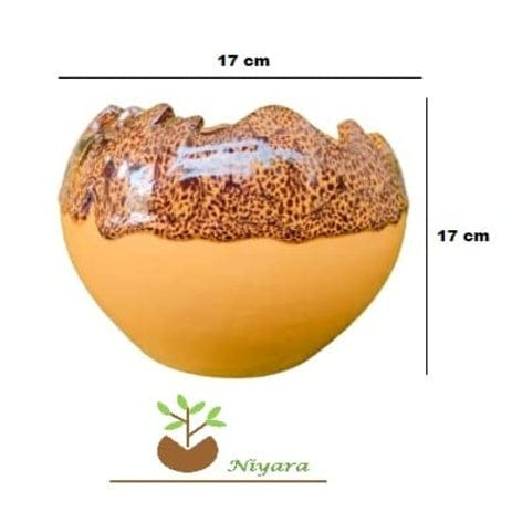 Cut Style Planters Pot Medium Size- 7 inches