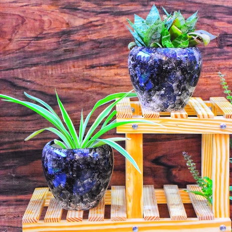 Glossy Look Planters Pot Set of 2