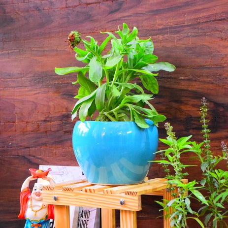 Shiny Skyblue Planters pot Size- 7 inches