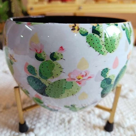 Cactus Print Tabletop Planter Pot (Rectangle)