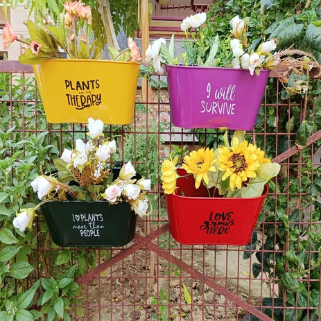 Hanging Planters Set of 4 Color: Multicolor