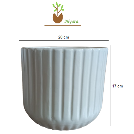White lining Style Pots Planters Color: White Size -8 inch