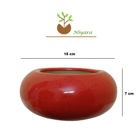 Donut Shape Colorful Pots Planters Set of 3