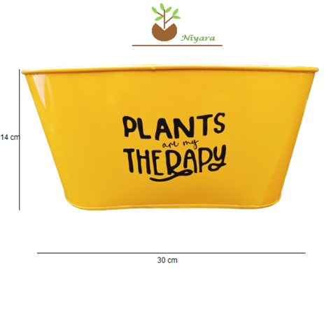 Hanging Planters Set of 4 Color: Multicolor