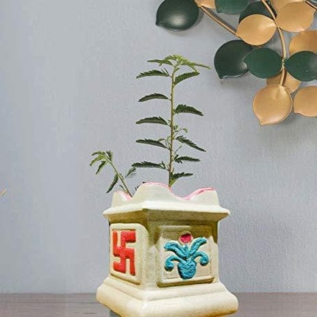 Tulsi Planter Pot 6 inch, Color-Cream