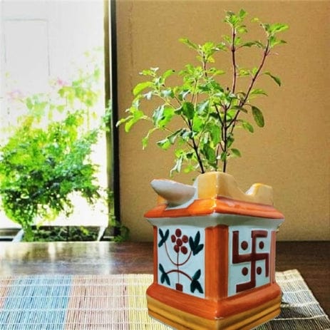 Tulsi Planters Pot Size- 11 inches Color-Multicolor