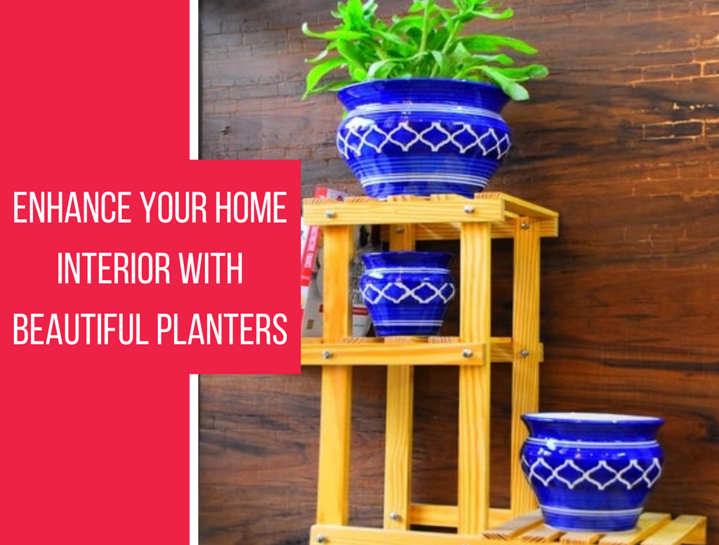 Enhance Your Home Interior with Beautiful Planters