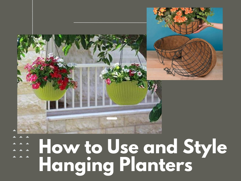 Ideas to Use and Style Your Hanging Planters that You Must Read