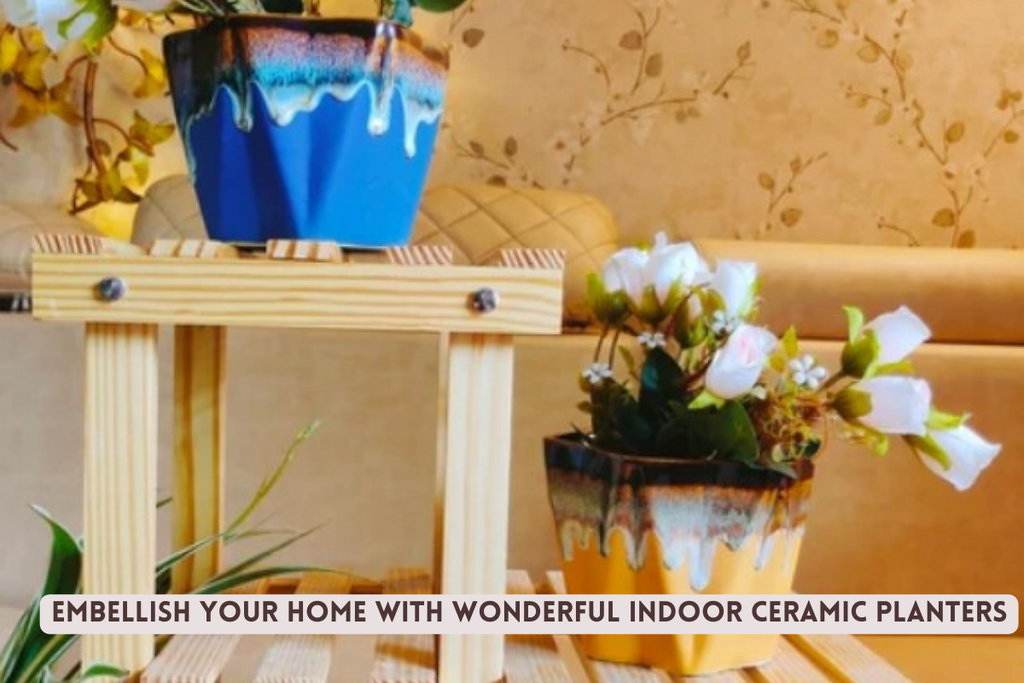 Embellish Your Home With Wonderful Indoor Ceramic planters