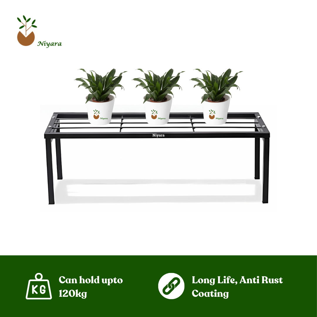 Metal Planter Stand Long 61 Cm/ 24 Inches) (Set Of 2 [ Height 8 Inch]