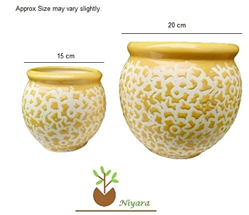 Fiery Yellow pot combo