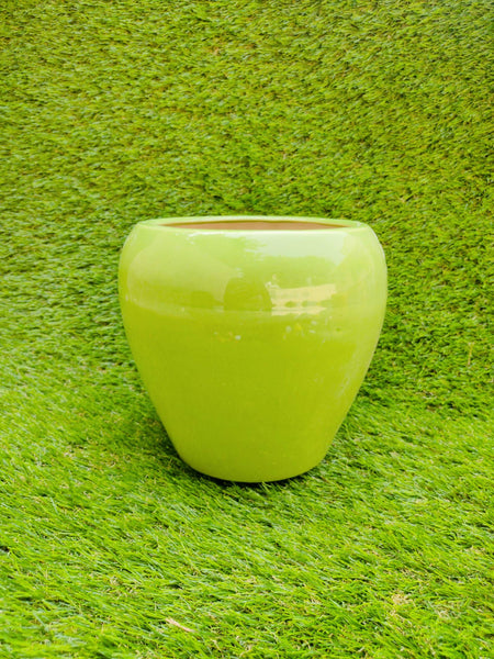 Green Apple pot 8 inch – Niyara