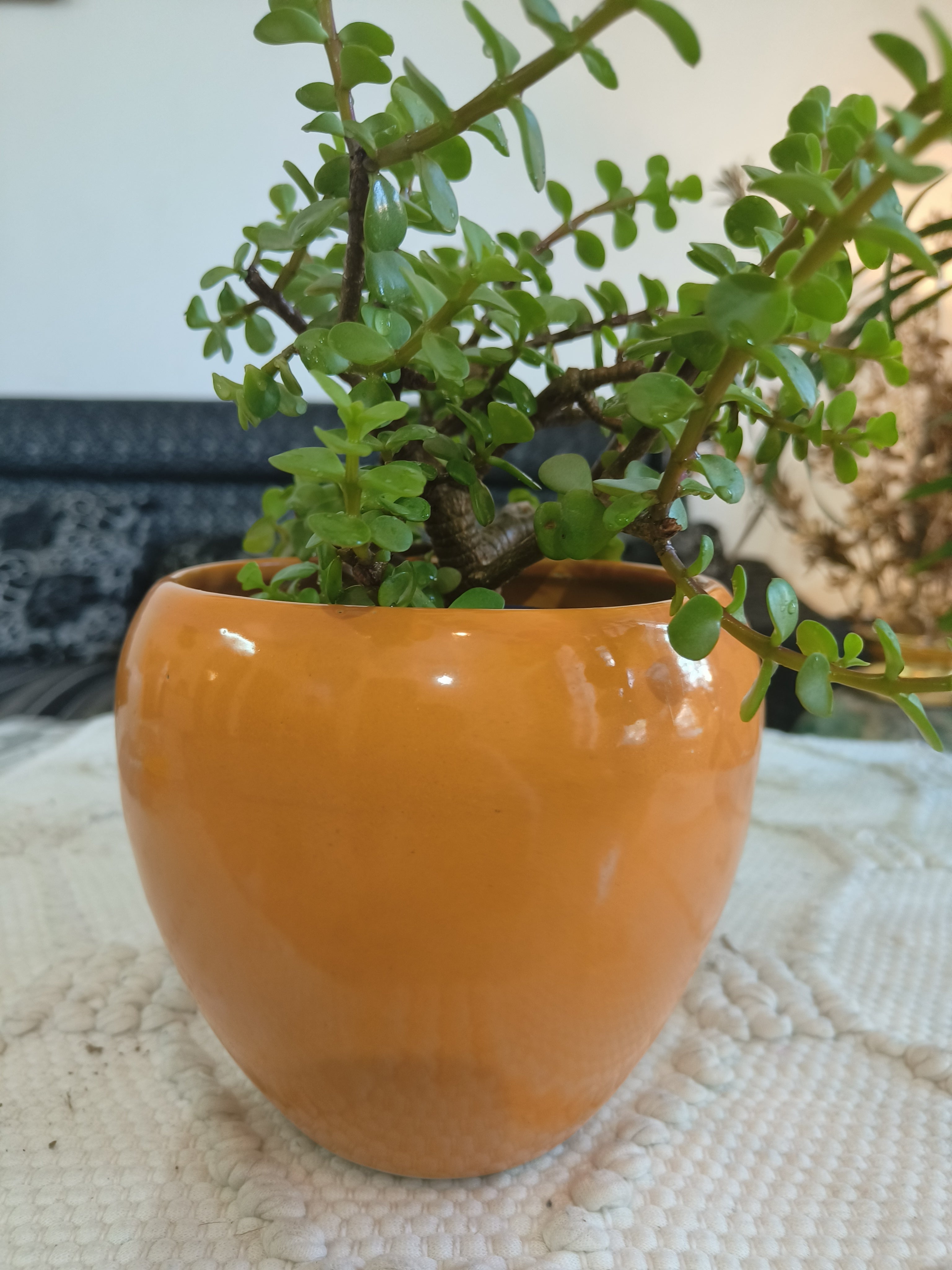 Designer Ceramic Planters pot  Size:- Medium Color:Orange