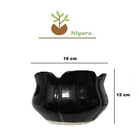 Lotus Shape Ceramic Planters Pot colour -Black