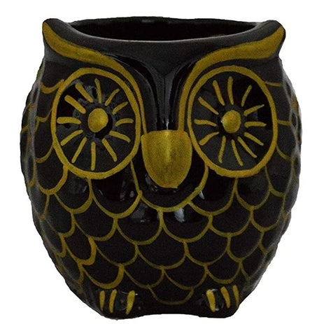 OWL Shape Planter Pot Color-Black with Gold
