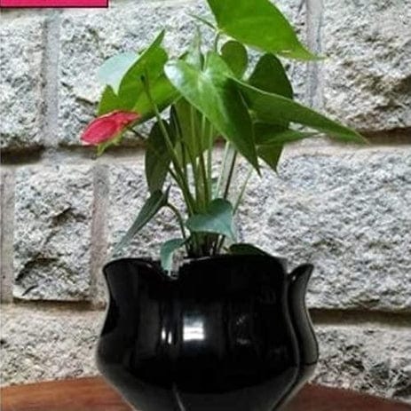 Lotus Shape Ceramic Planters Pot colour -Black
