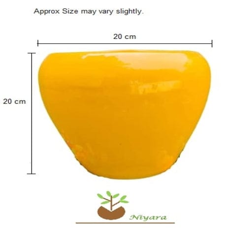 Yellow Stylish Ceramic Planters Pots